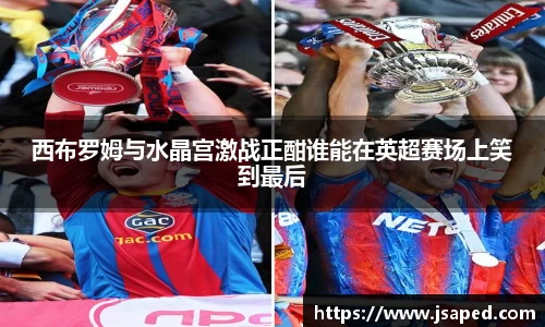 西布罗姆与水晶宫激战正酣谁能在英超赛场上笑到最后